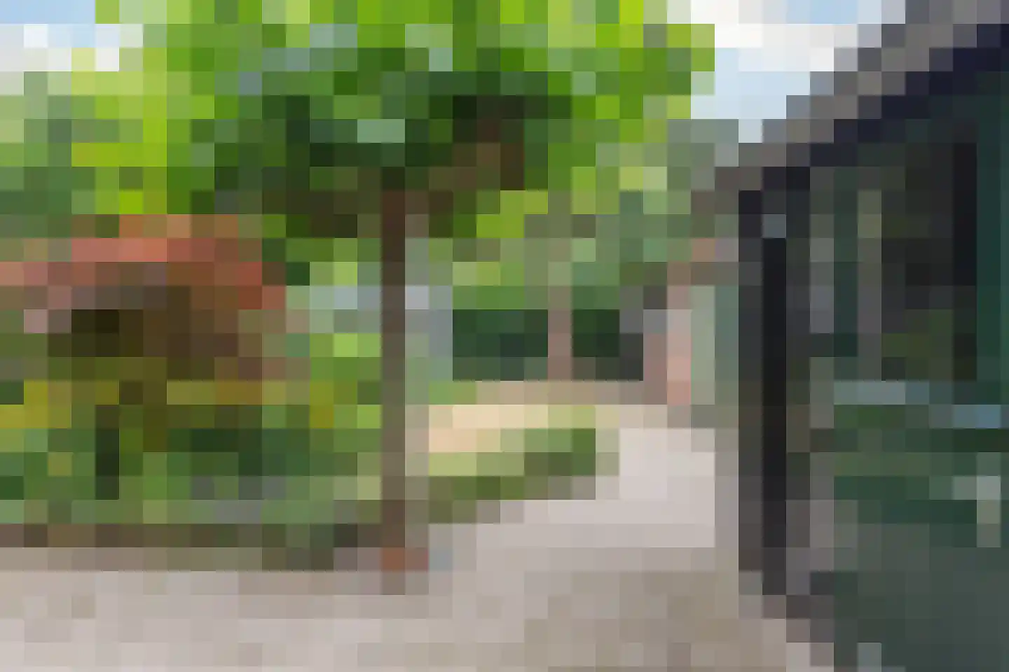 Berkenlaan 6 a Aalsmeer thumbnail 7