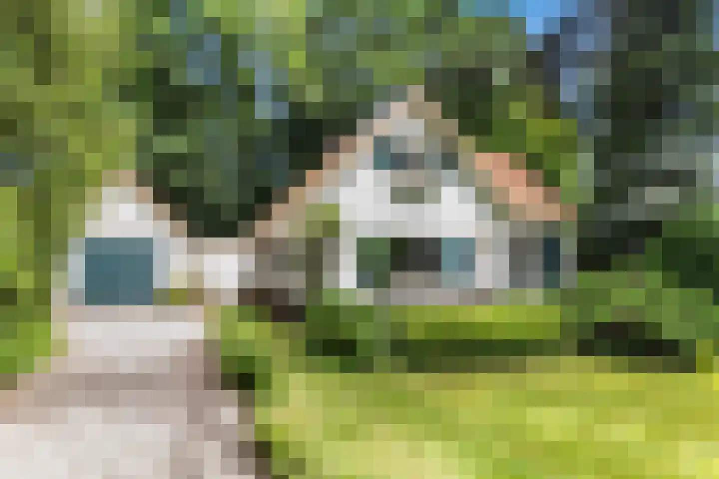 Berkenlaan 6 Apeldoorn