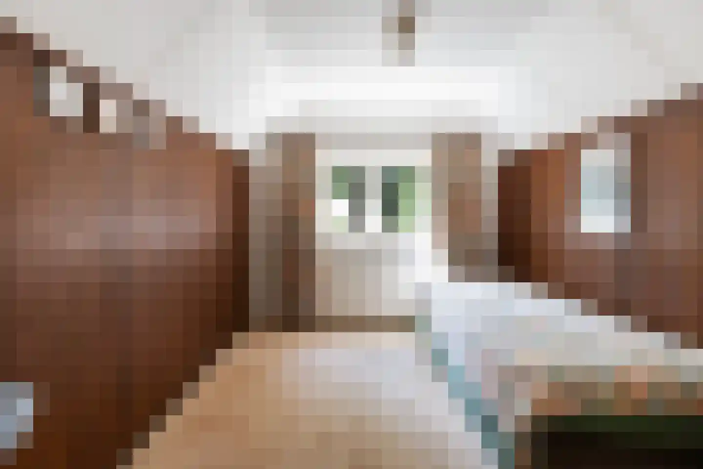 Berkenlaan 6 Apeldoorn thumbnail 16