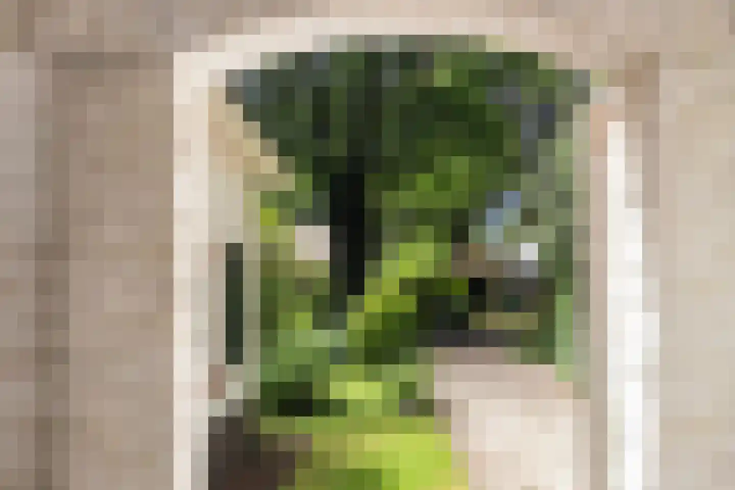 Berkenlaan 6 Apeldoorn thumbnail 22