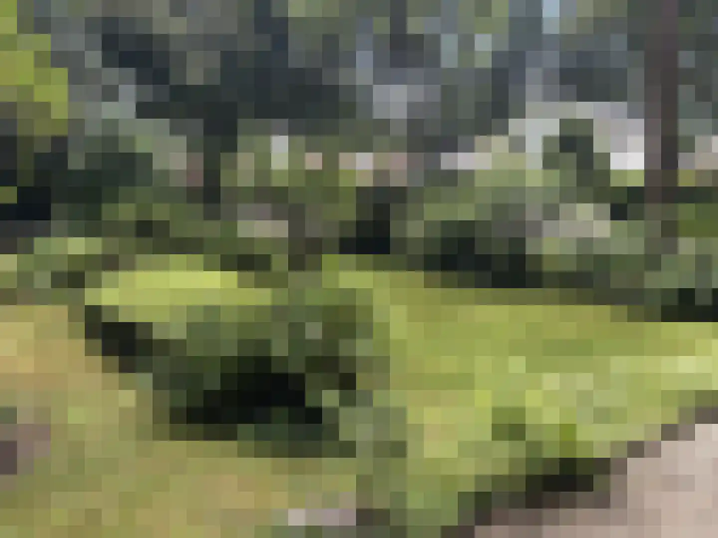 Berkenlaan 6 Apeldoorn thumbnail 23