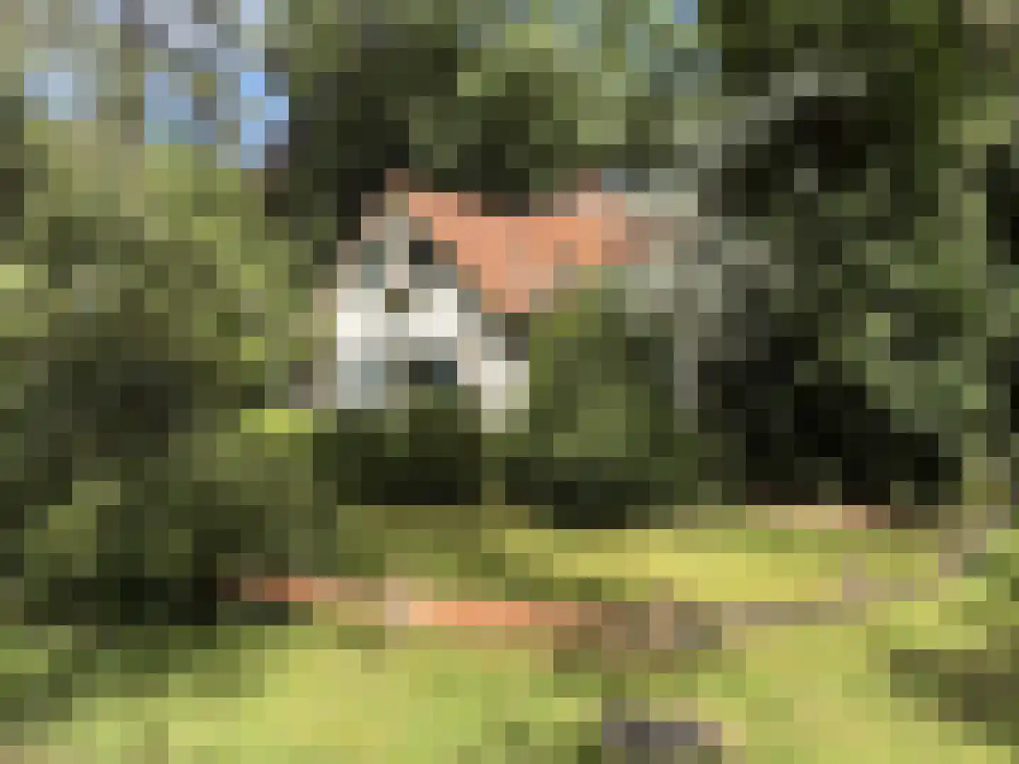Berkenlaan 6 Apeldoorn thumbnail 24