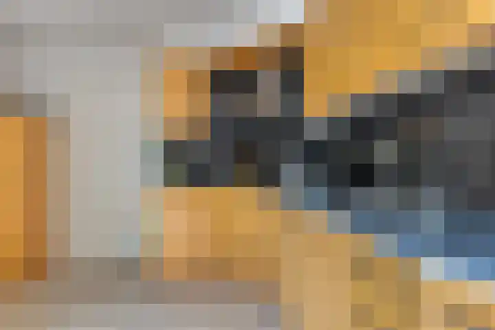 Berkenlaan 6 Gasselte thumbnail 16