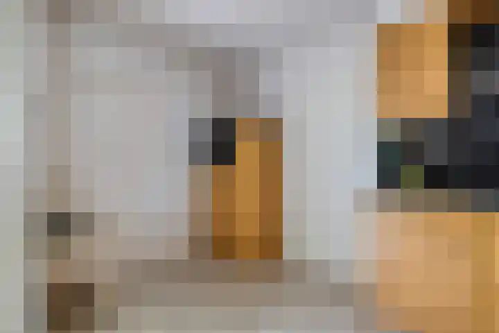 Berkenlaan 6 Gasselte thumbnail 17