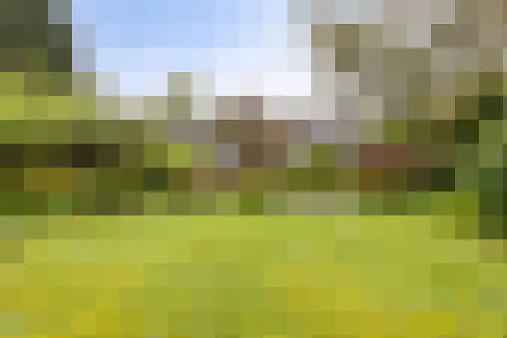Berkenlaan 6 Gasselte foto 2