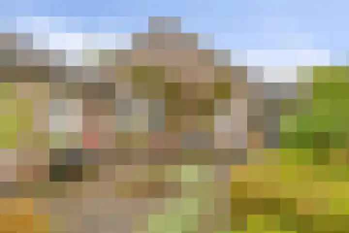 Berkenlaan 6 Gasselte thumbnail 29