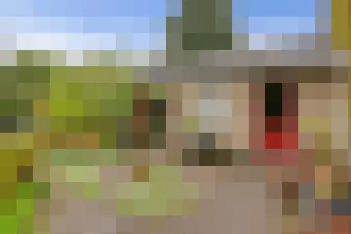 Berkenlaan 6 Gasselte thumbnail 31