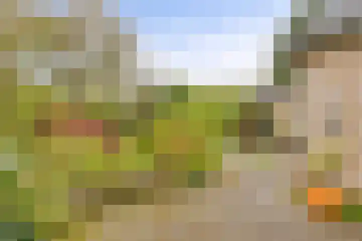 Berkenlaan 6 Gasselte thumbnail 32