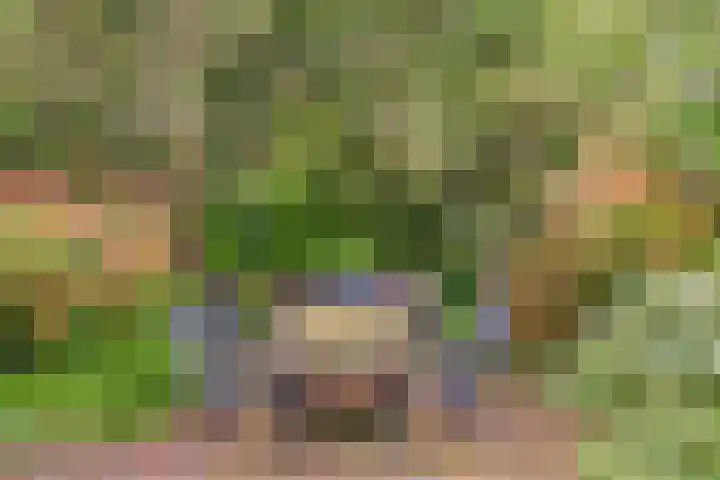 Berkenlaan 6 Gasselte thumbnail 34