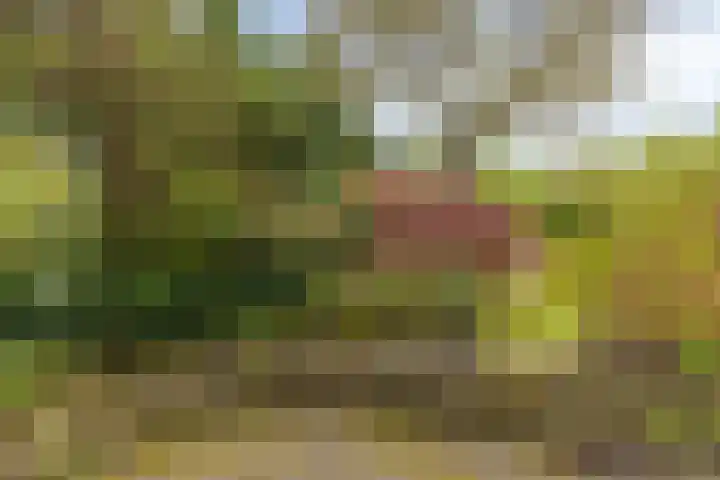 Berkenlaan 6 Gasselte thumbnail 35