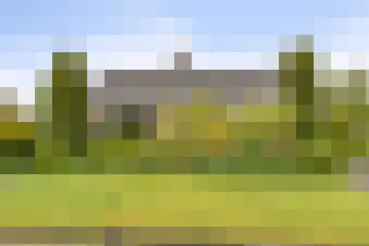 Berkenlaan 6 Gasselte thumbnail 36