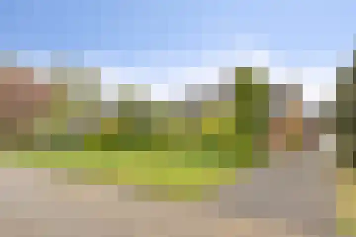Berkenlaan 6 Gasselte thumbnail 37