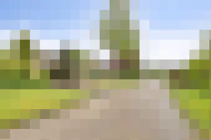 Berkenlaan 6 Gasselte thumbnail 38