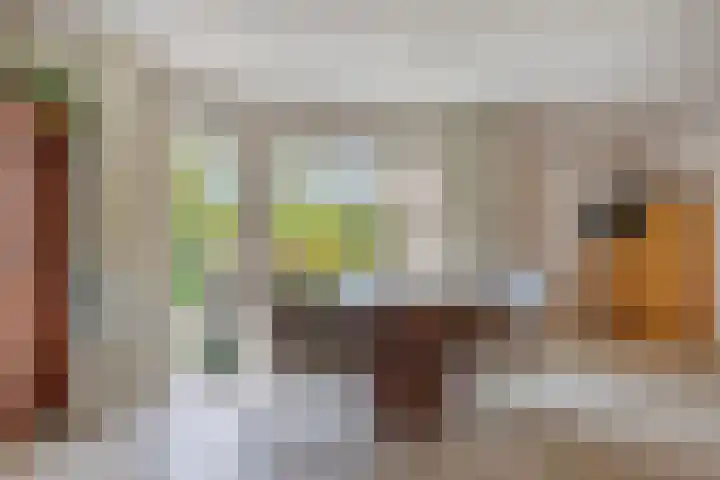 Berkenlaan 6 Gasselte thumbnail 4