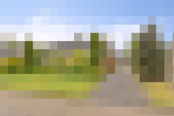 Berkenlaan 6 Gasselte thumbnail 42