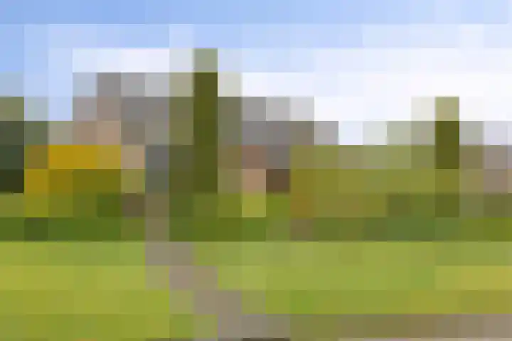 Berkenlaan 6 Gasselte thumbnail 7