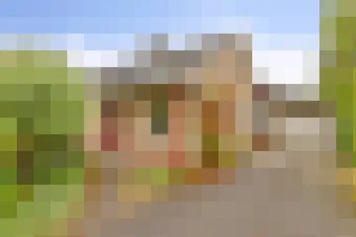 Berkenlaan 6 Gasselte thumbnail 8
