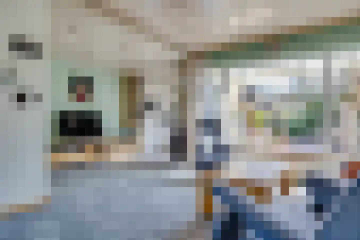 Berkenlaan 6 Leusden thumbnail 13