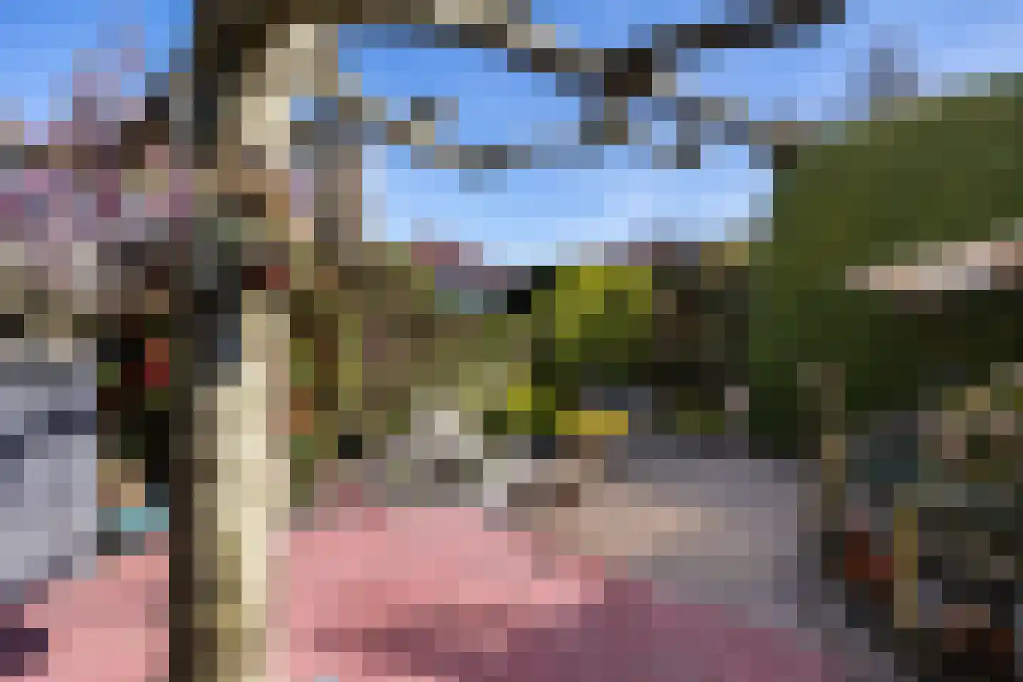 Berkenlaan 6 Leusden thumbnail 23