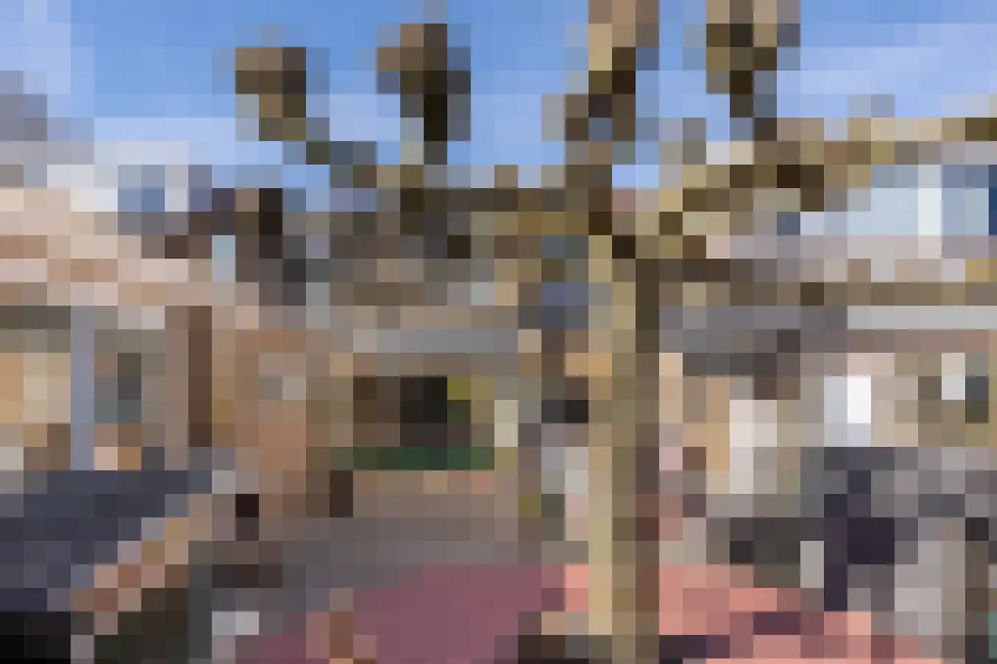 Berkenlaan 6 Leusden thumbnail 24