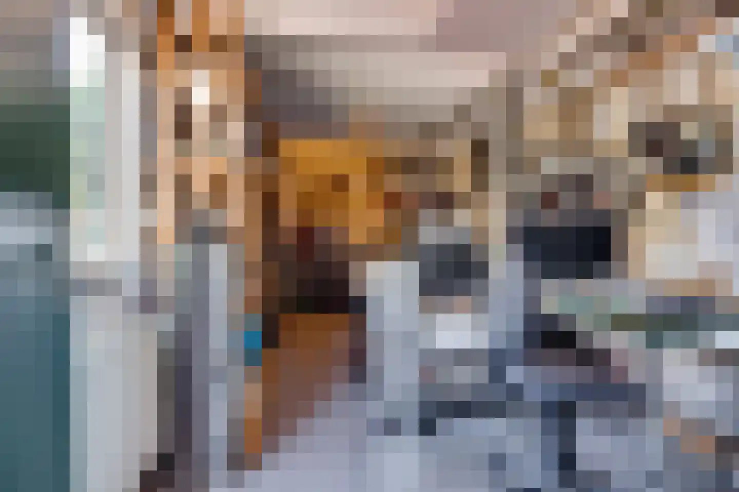 Berkenlaan 6 Leusden thumbnail 28