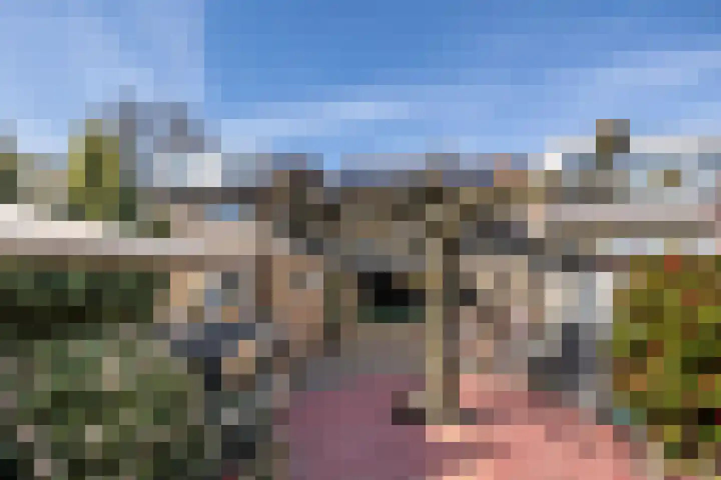 Berkenlaan 6 Leusden thumbnail 4