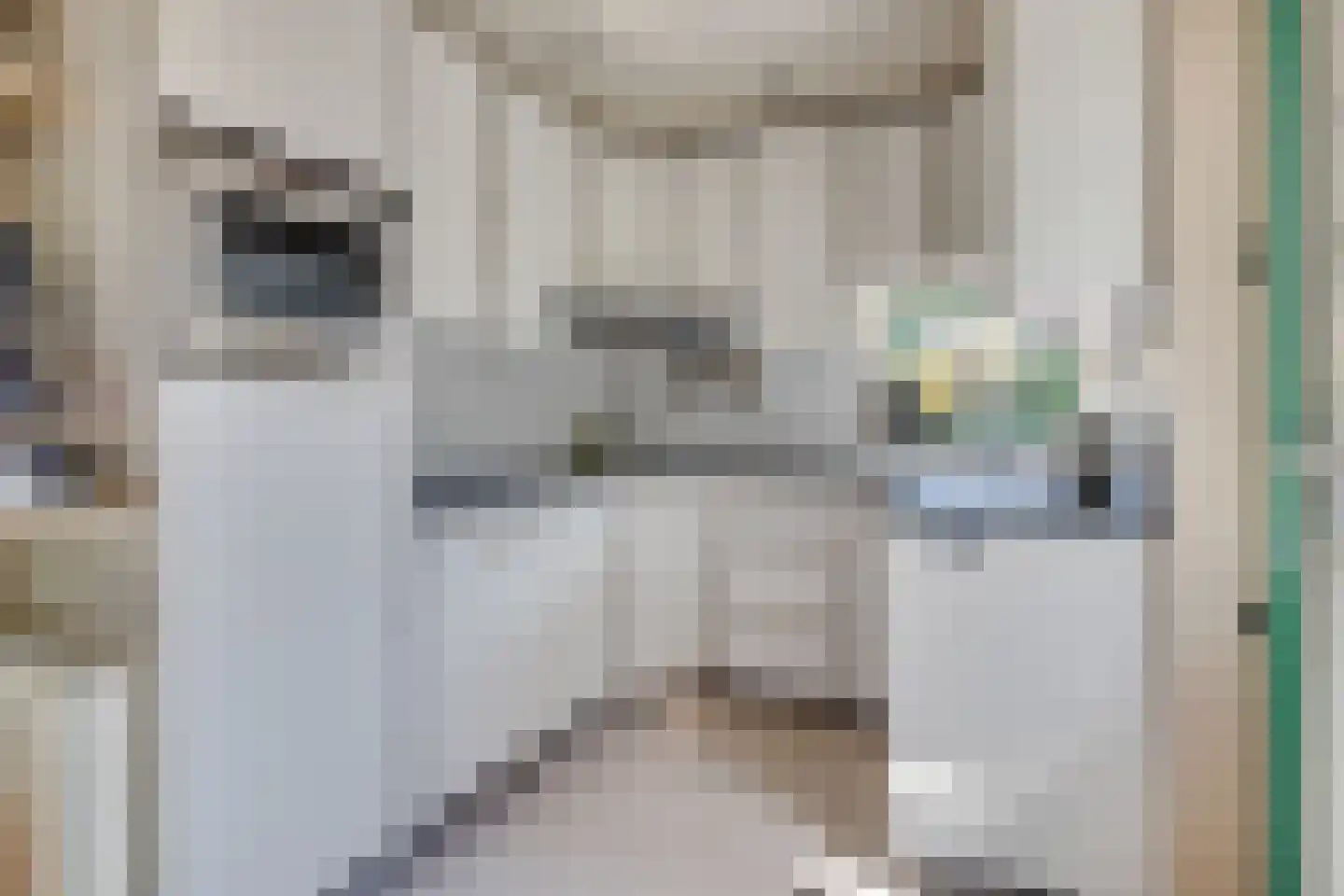 Berkenlaan 6 Leusden thumbnail 8
