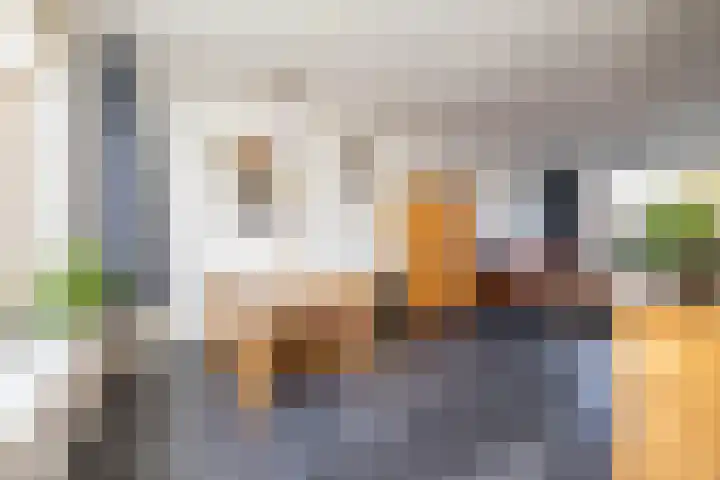 Berkenlaan 6 Meeden thumbnail 13