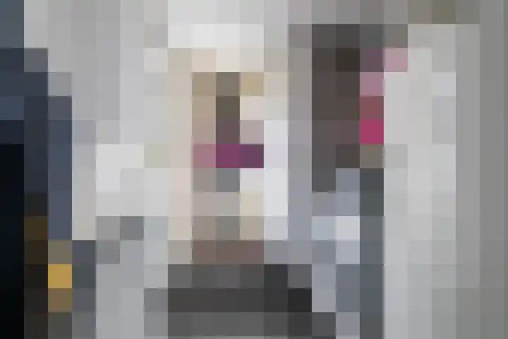 Berkenlaan 6 Meeden thumbnail 14
