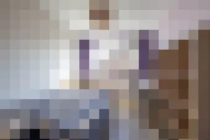 Berkenlaan 6 Meeden thumbnail 19