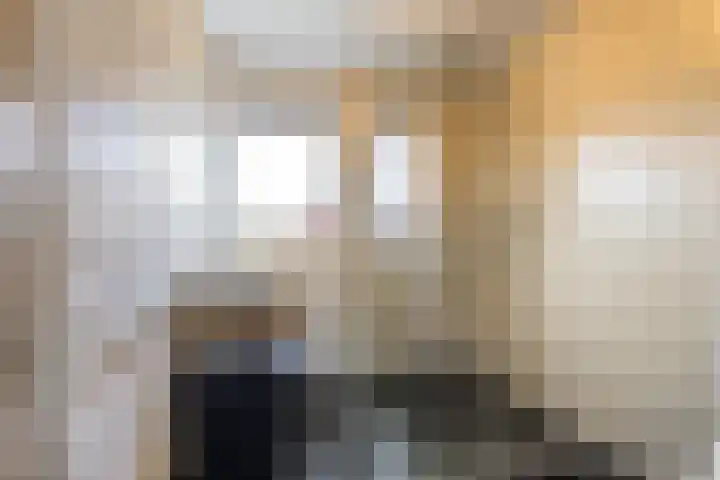 Berkenlaan 6 Meeden thumbnail 21