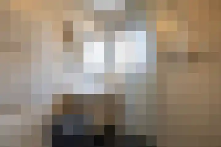 Berkenlaan 6 Meeden thumbnail 22