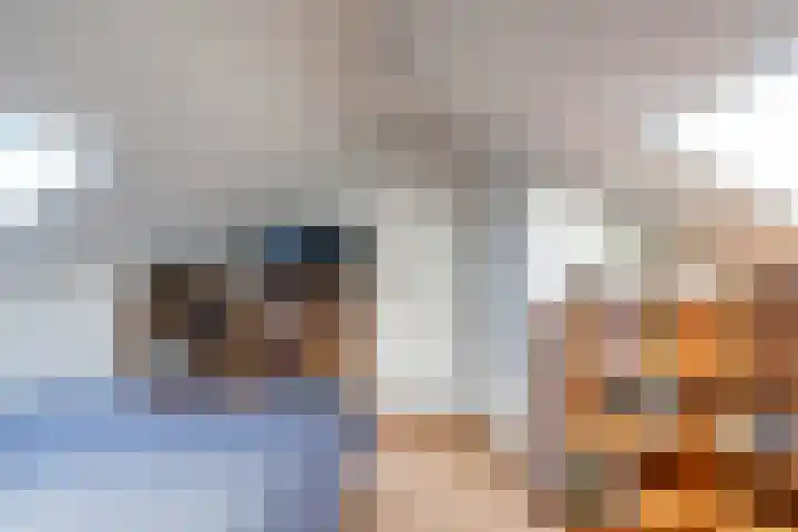 Berkenlaan 6 Meeden thumbnail 25