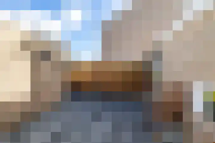 Berkenlaan 6 Meeden thumbnail 27
