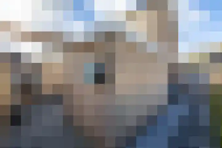 Berkenlaan 6 Meeden thumbnail 28