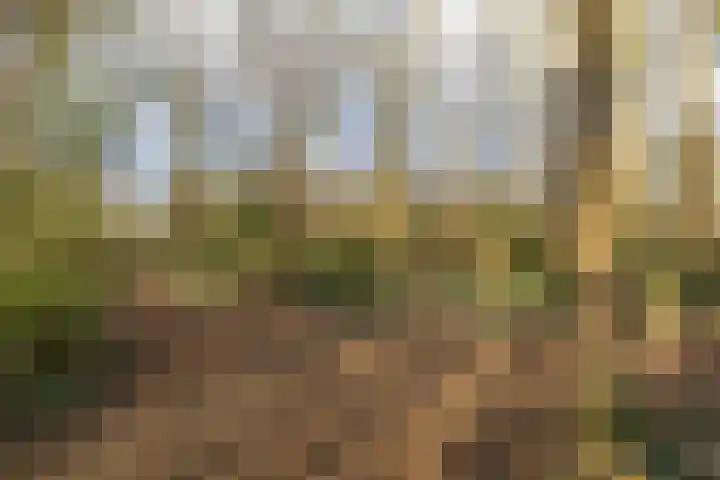 Berkenlaan 6 Meeden thumbnail 29