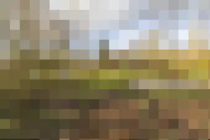 Berkenlaan 6 Meeden foto 3