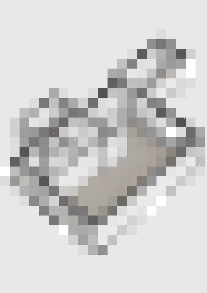 Berkenlaan 6 Meeden thumbnail 32