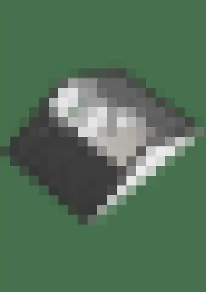 Berkenlaan 6 Meeden thumbnail 36
