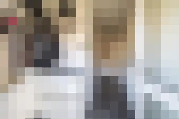 Berkenlaan 6 Meeden thumbnail 5