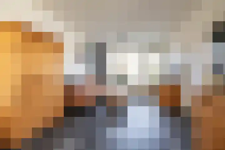 Berkenlaan 6 Meeden thumbnail 7