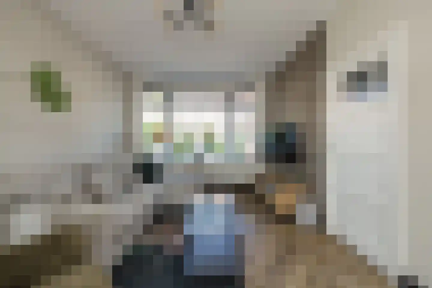 Berkenlaan 6 Sassenheim thumbnail 10