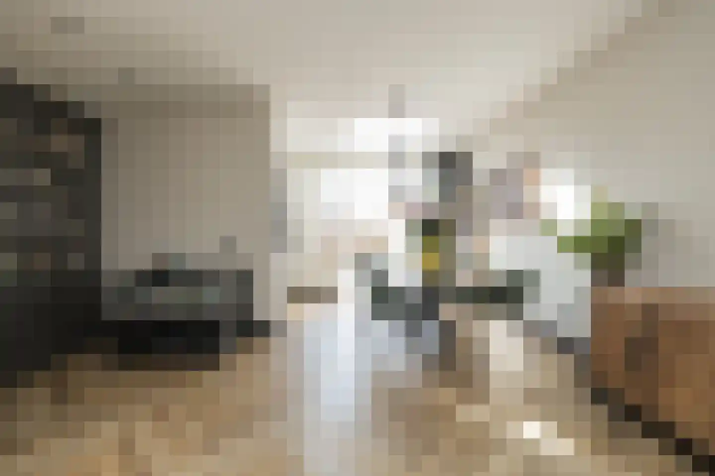 Berkenlaan 6 Sassenheim thumbnail 13