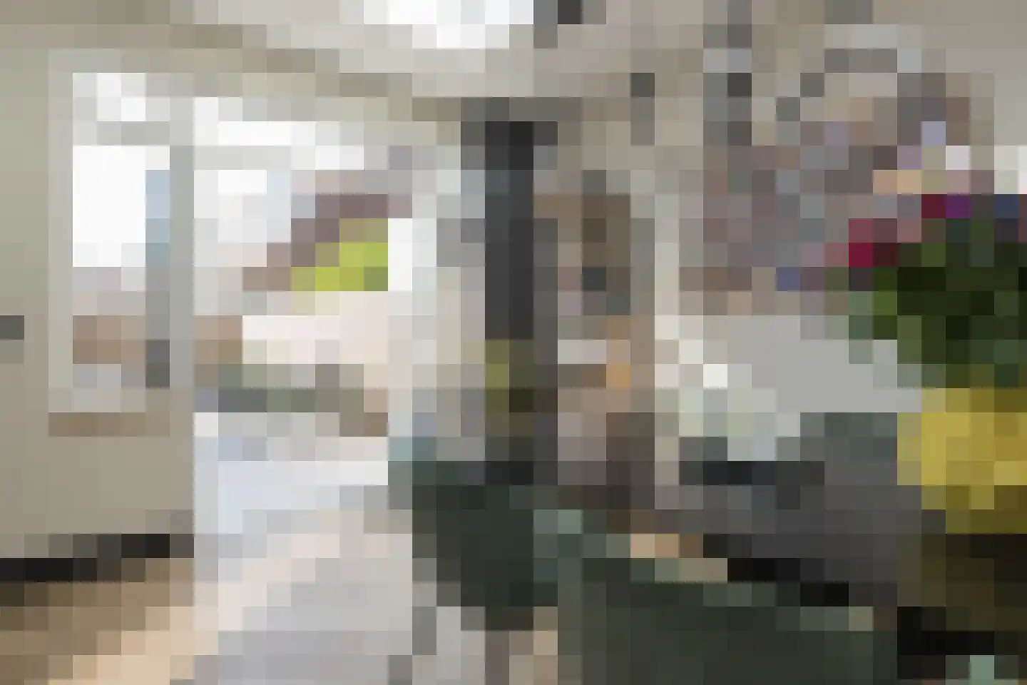 Berkenlaan 6 Sassenheim thumbnail 16