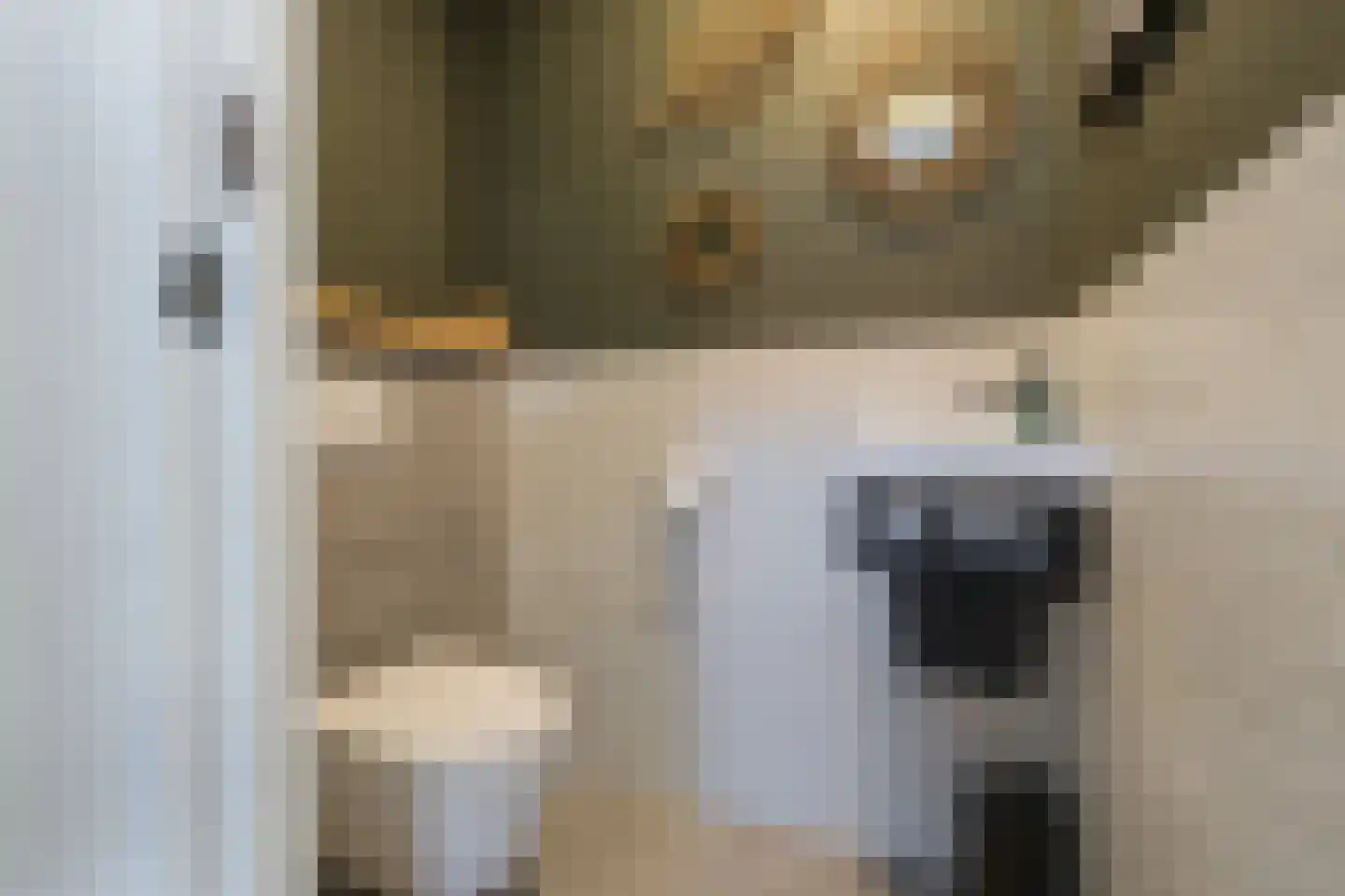 Berkenlaan 6 Sassenheim thumbnail 23