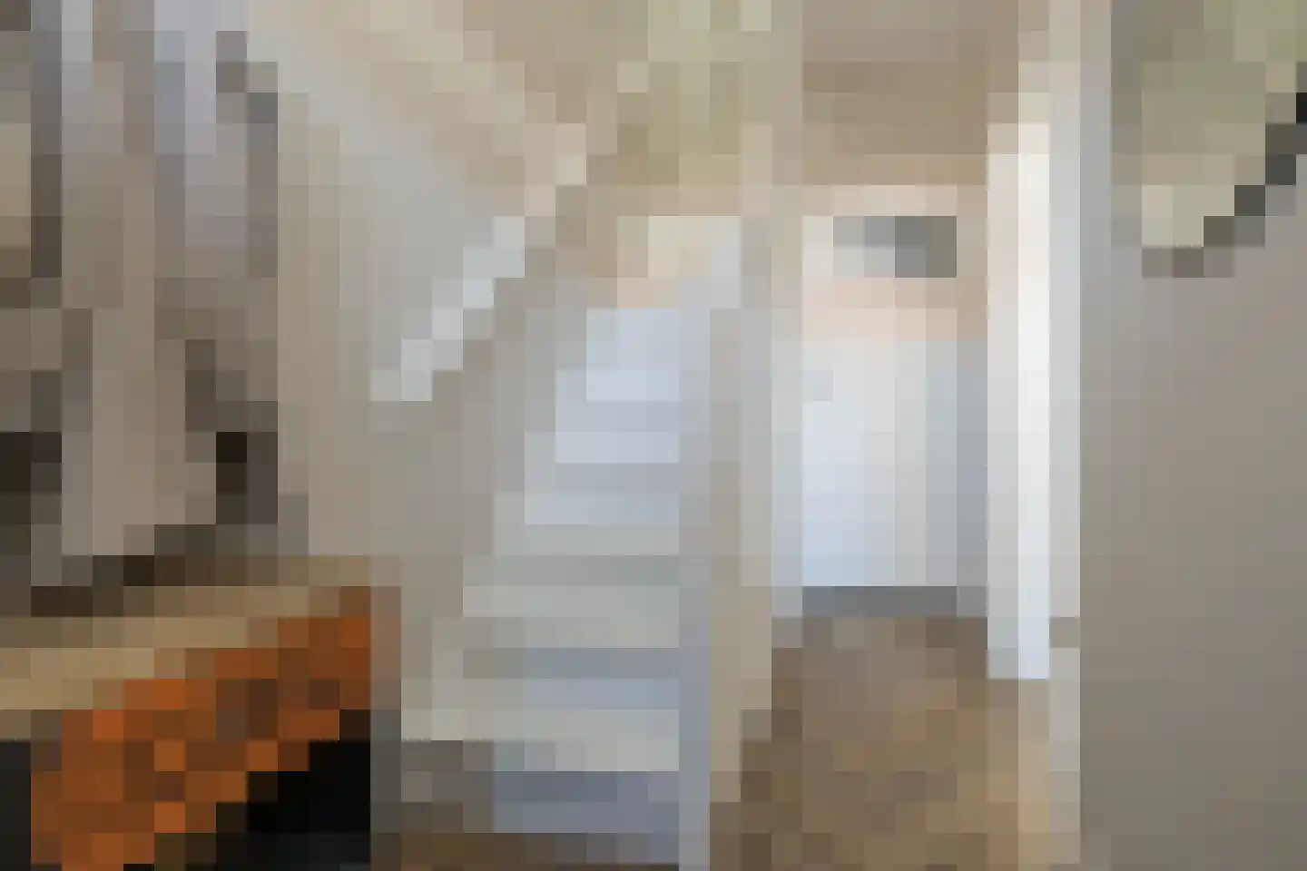 Berkenlaan 6 Sassenheim thumbnail 24