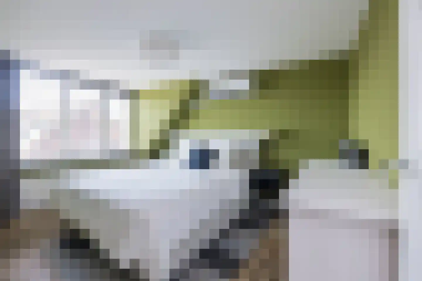 Berkenlaan 6 Sassenheim thumbnail 26