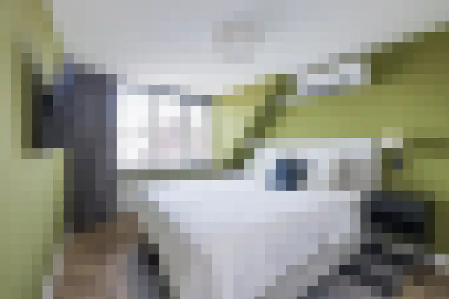 Berkenlaan 6 Sassenheim thumbnail 27