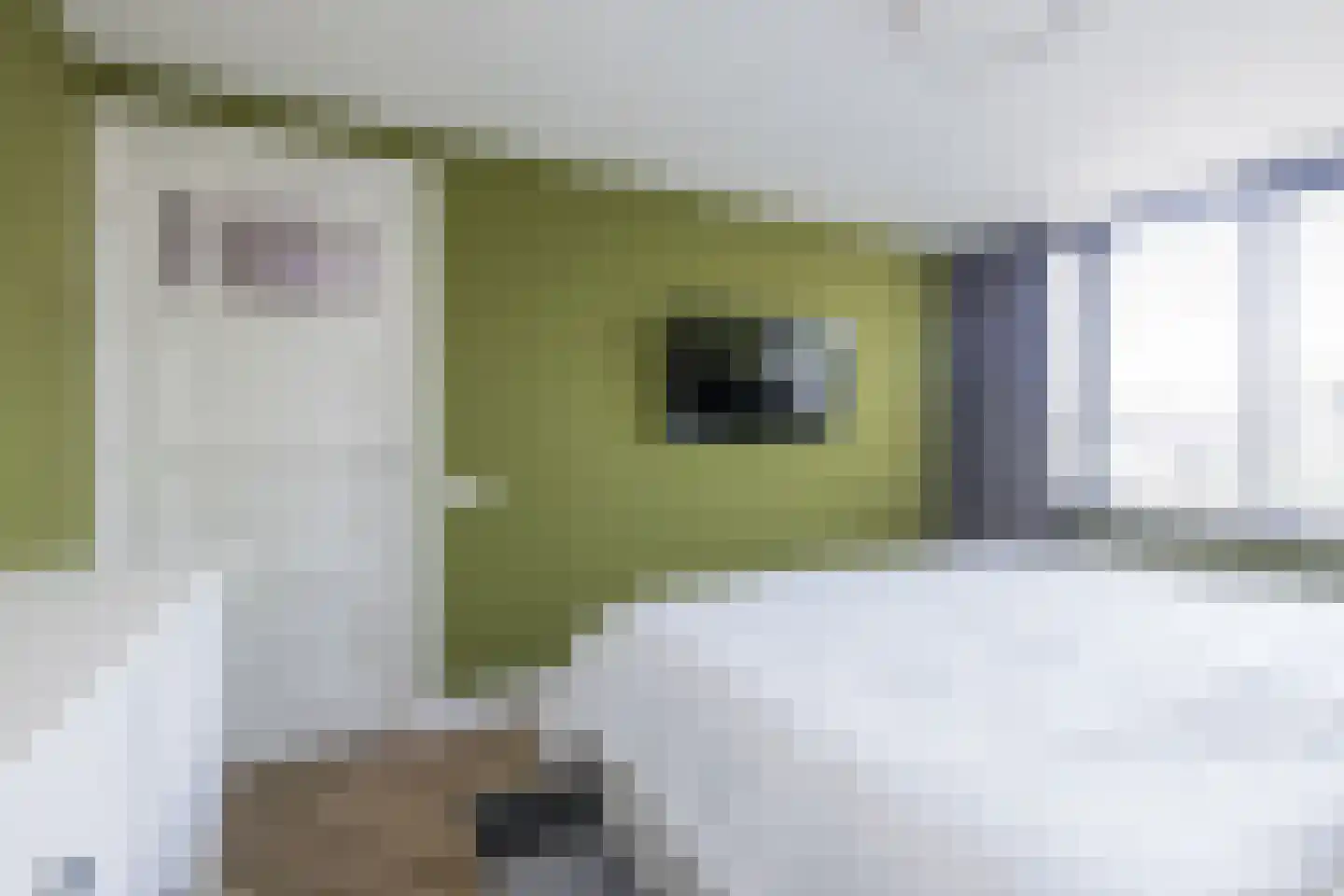 Berkenlaan 6 Sassenheim thumbnail 28