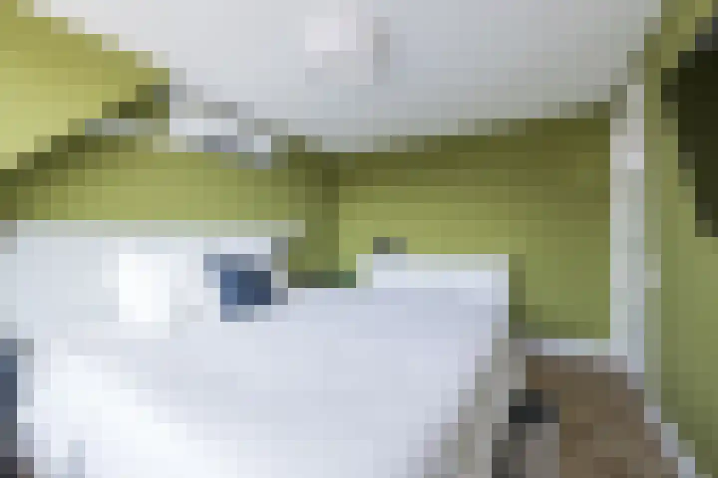 Berkenlaan 6 Sassenheim thumbnail 29